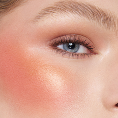 HOLLYWOOD BLUSH & GLOW GLIDE PALETTE - TAN TO DEEP