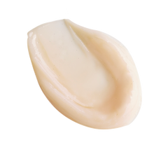 MAGIC NIGHT CREAM - 50 ML